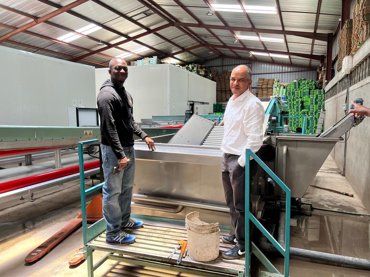 JTA on a site visit to a produce packhouse, beside the washing and sorting line